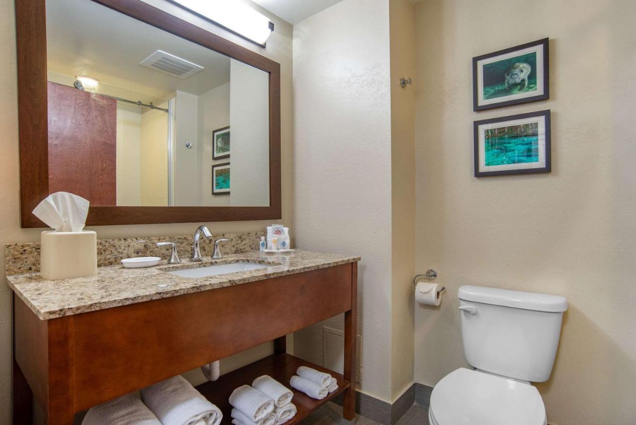 Comfort Suites Tallahassee Capitol - University Area Room photo